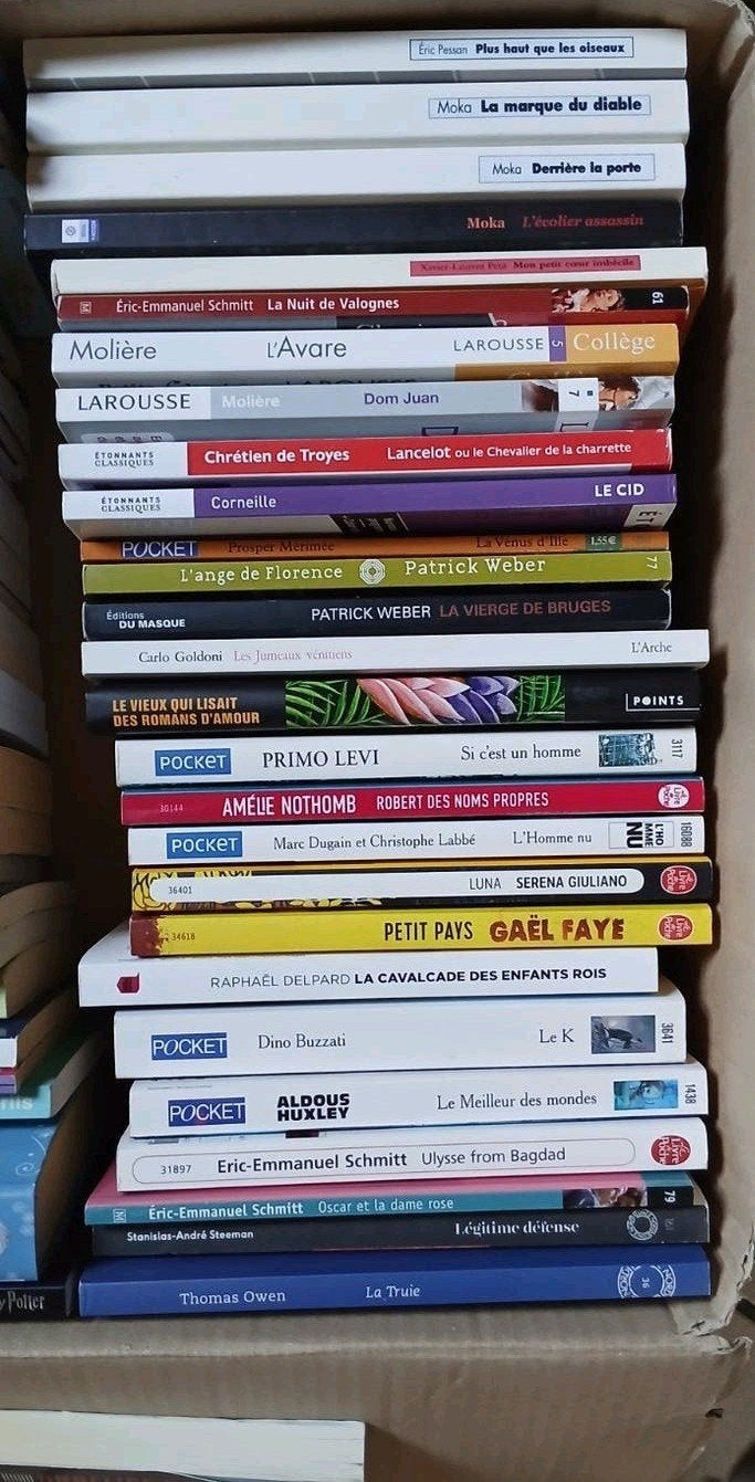 Lot de livres de poche, Livres, Enlèvement