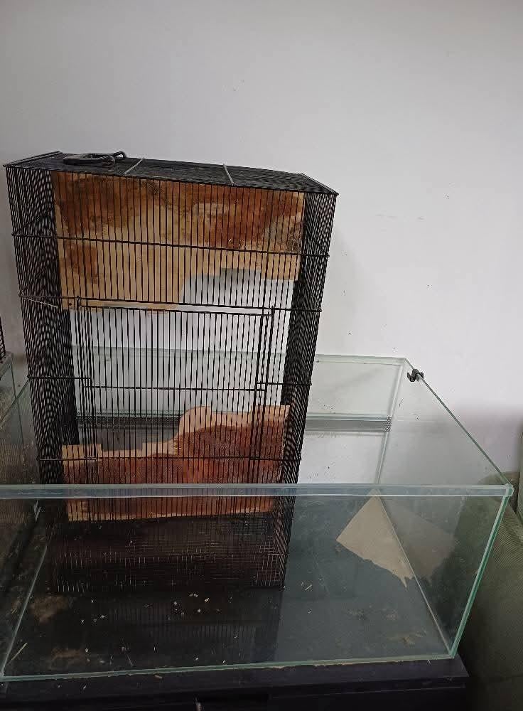 Kooi voor gerbils of hamster, Animaux & Accessoires, Enlèvement, Cage, Hamster
