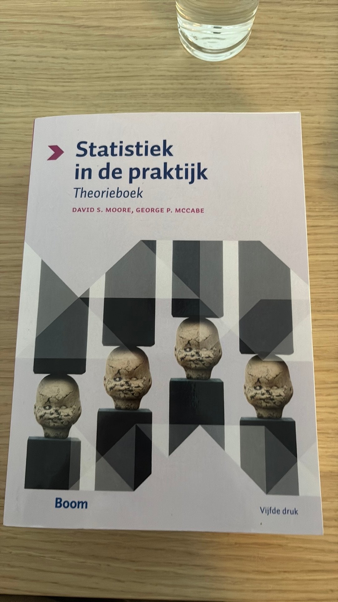 Statistiek in de praktijk - Theorieboek - Moord & Mccabe, Ophalen, Zo goed als nieuw