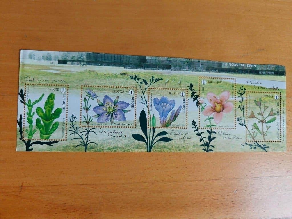 2016 Het nieuwe Zwin OBP BL 238 (vogels ontbreken) -, Verzenden, Frankeerzegel, Zonder stempel, Postfris