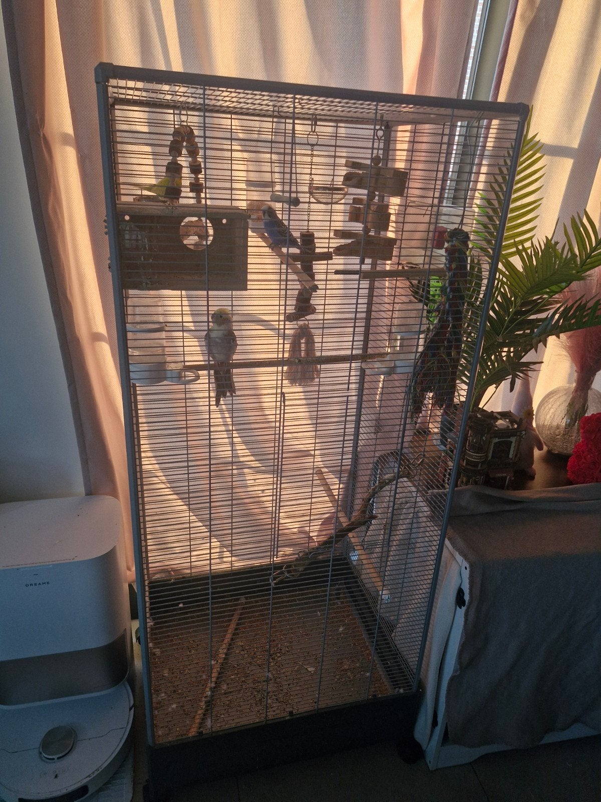 Vogelkooien, Dieren en Toebehoren, Ophalen, Gebruikt, Vogelkooi