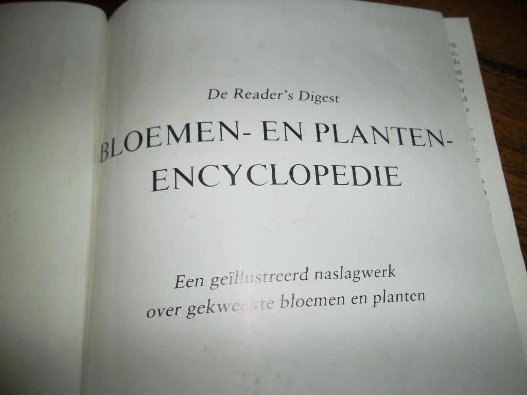 Boek over bloemen en planten, Boeken, Ophalen of Verzenden, Zo goed als nieuw, Bloemen, Planten en Bomen