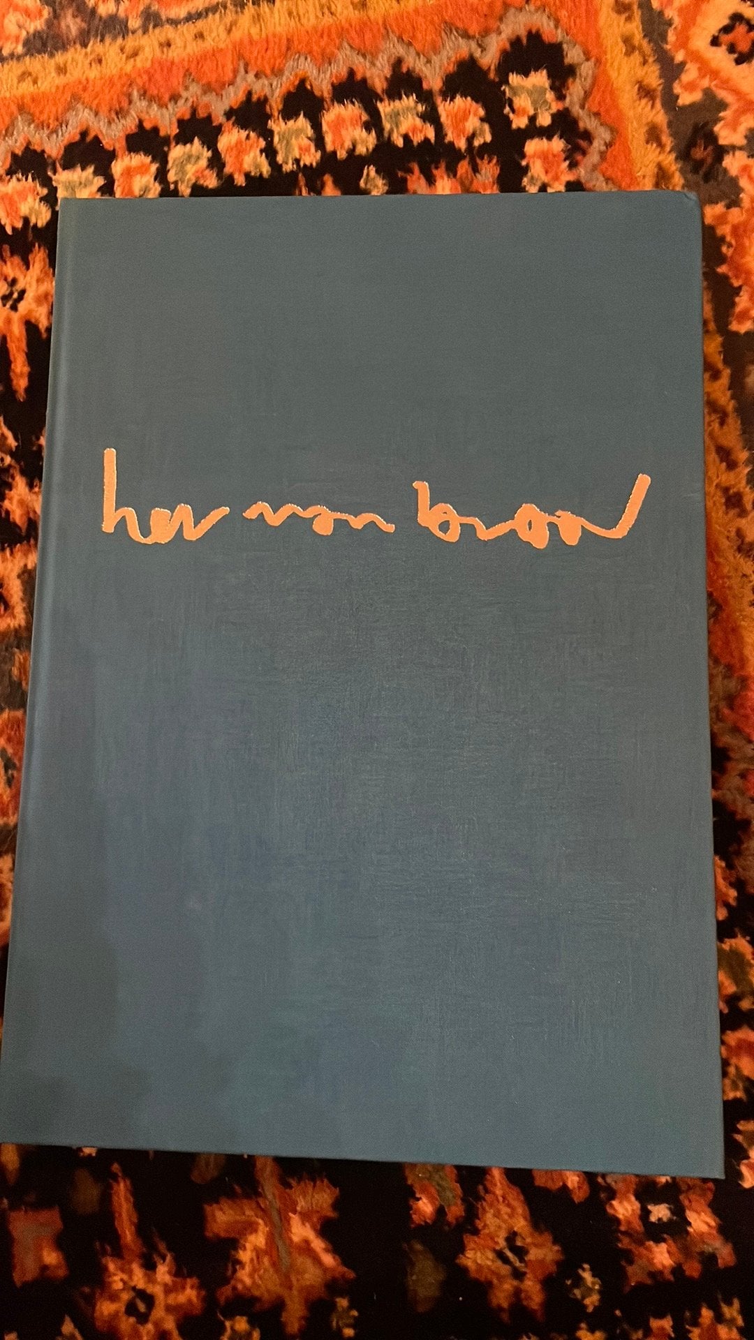Herman brood boek met tekening woedend licht, Boeken, Ophalen of Verzenden, Zo goed als nieuw