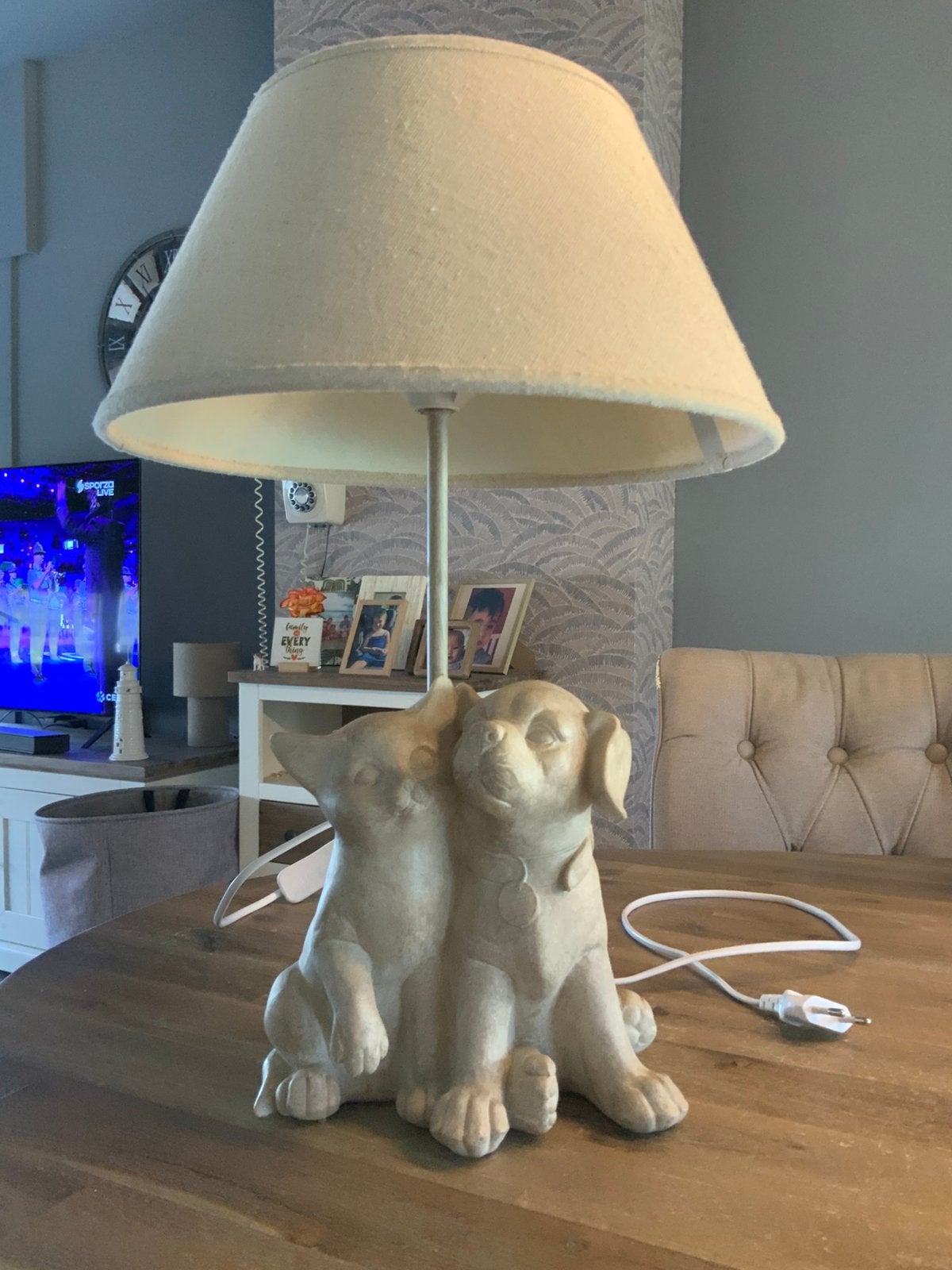 Belle lampe beige pour chat et chien, Beige, Enlèvement, Comme neuf