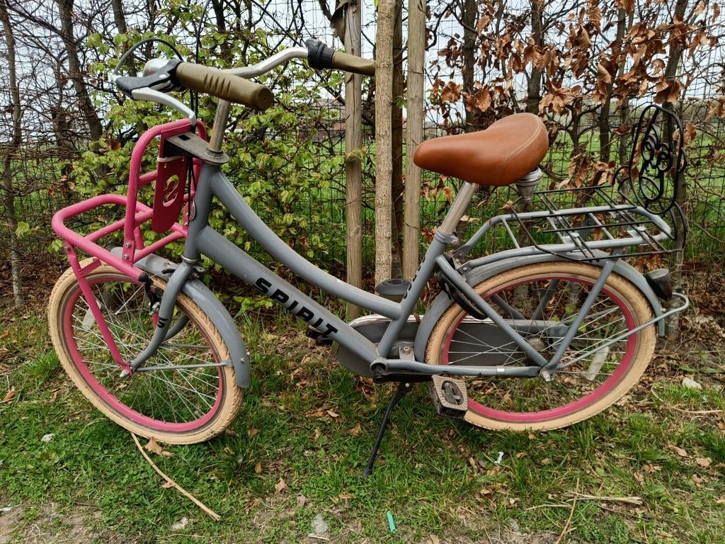 Meisjesfiets cargo grijs 22 inch, Ophalen, 22 inch, Versnellingen
