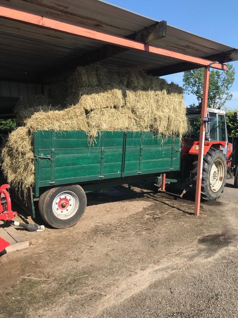 Hooi, Dieren en Toebehoren, Paarden