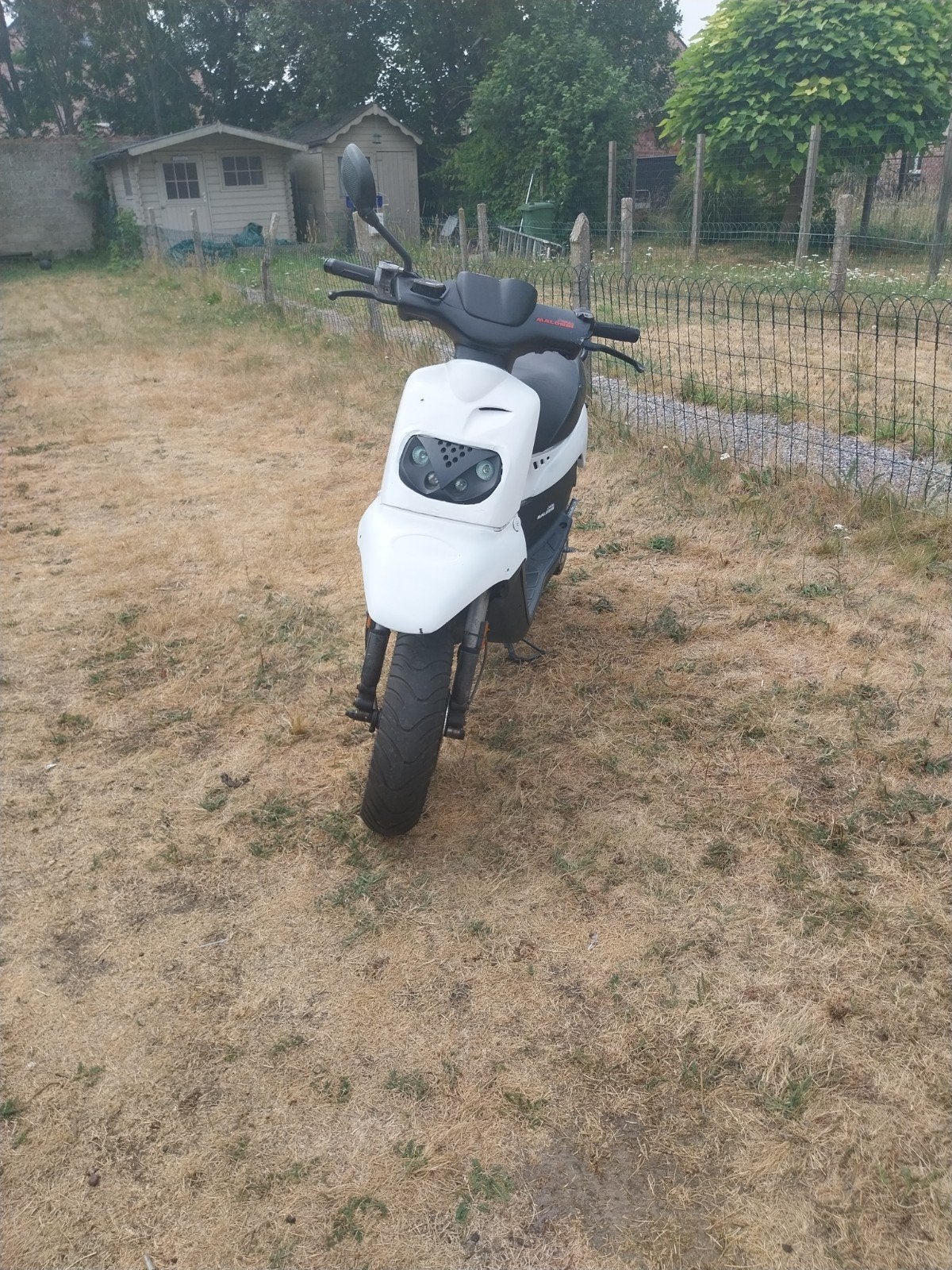 Peugeot squab a klasse, Vélos & Vélomoteurs, Scooters | Peugeot, Utilisé, Autres modèles, Classe A (25 km/h), Deux-temps, Enlèvement ou Envoi