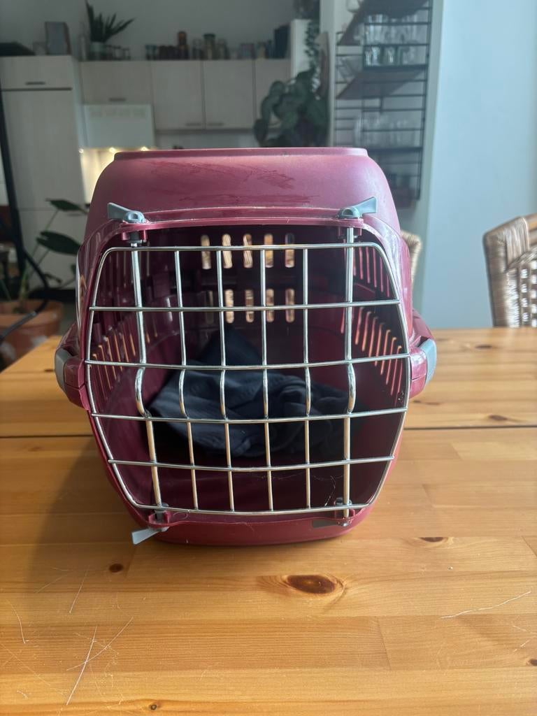 Transportbox kat / kleine hond, Ophalen, Gebruikt
