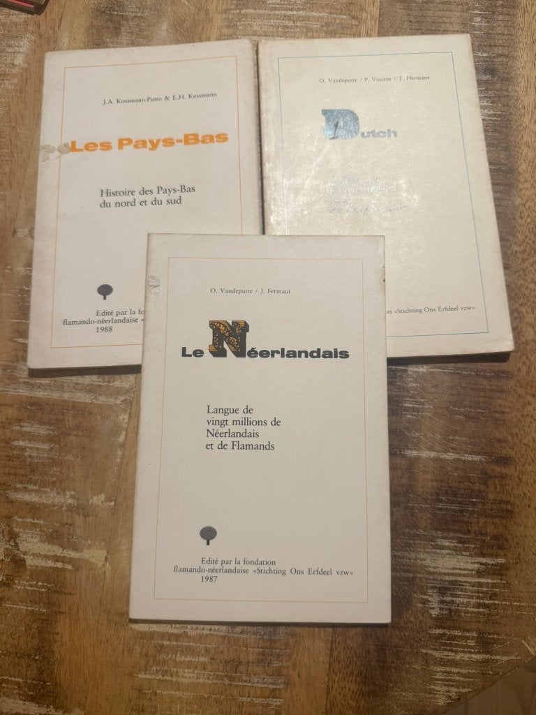 Les Pays-Bas / Dutch / Le Néerlandais - Flemish-Nl Foundatio, Boeken, Ophalen of Verzenden, 20e eeuw of later, Gelezen