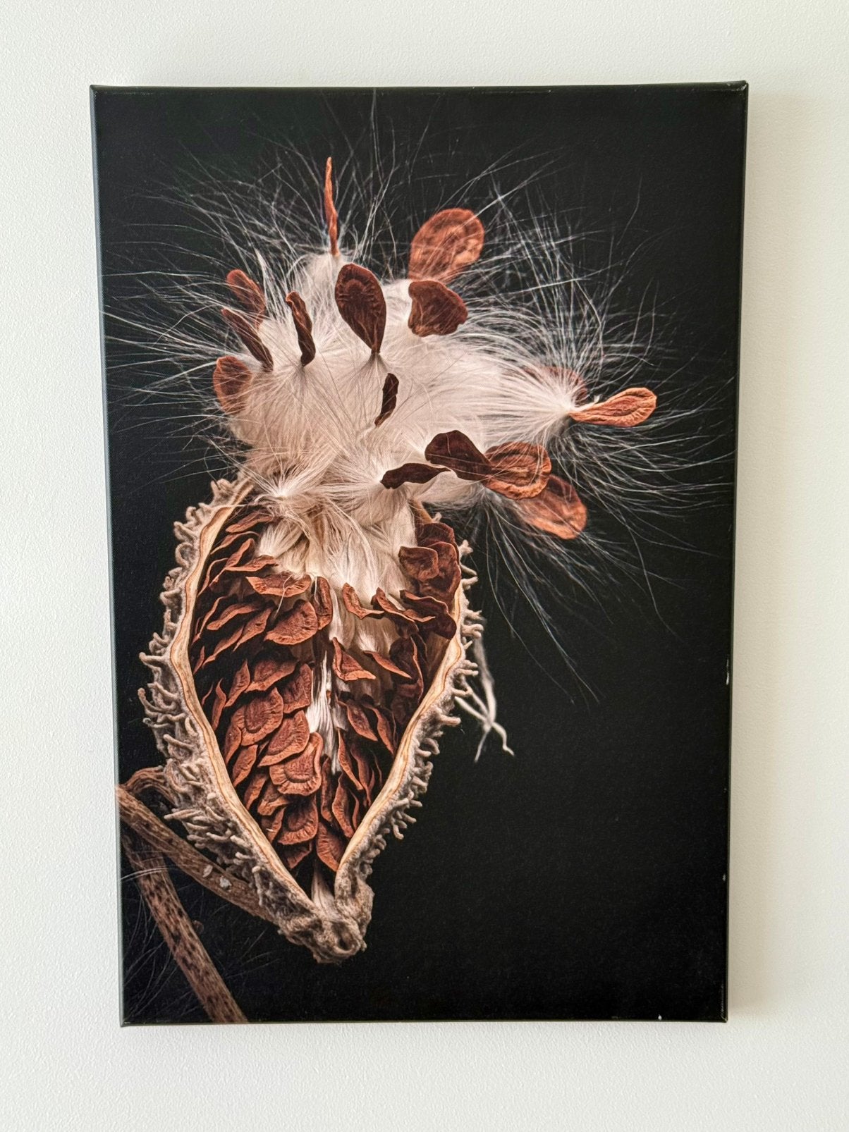 Photo poster, Antiek en Kunst, Ophalen