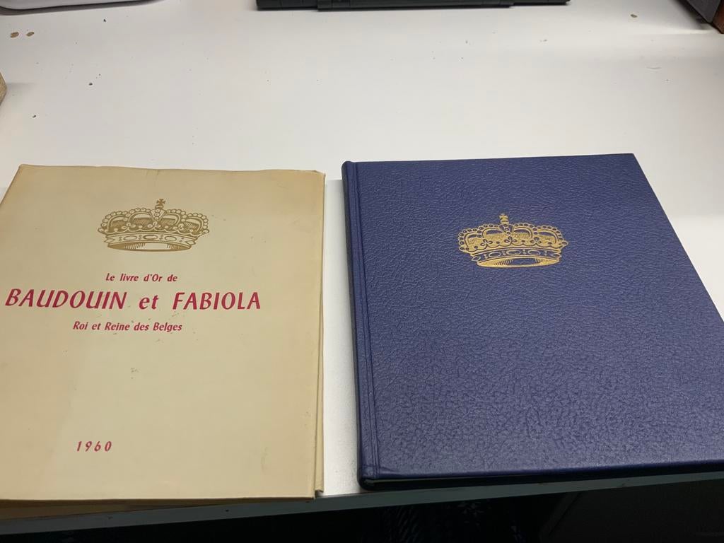 BOEK BOUDEWIJN/FABIOLA HUWELIJK UITZONDERLIJKE STAAT, Ophalen of Verzenden