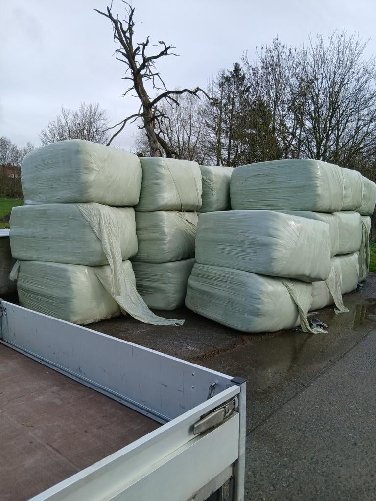 15 Grote pakken mooi gras voordroog te koop 120x90, Dieren en Toebehoren, Ophalen