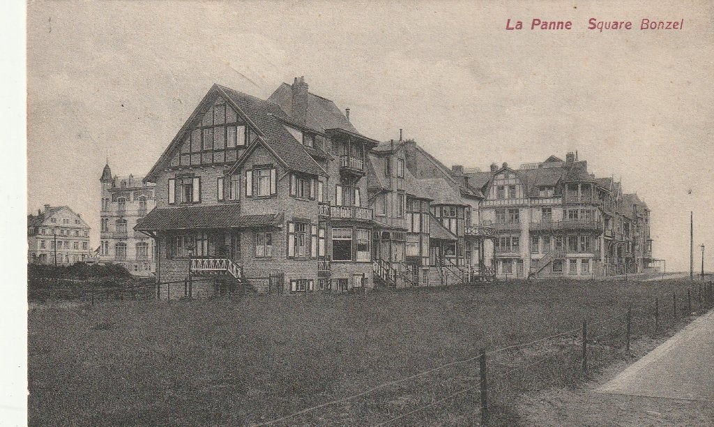 De Panne, Ophalen of Verzenden