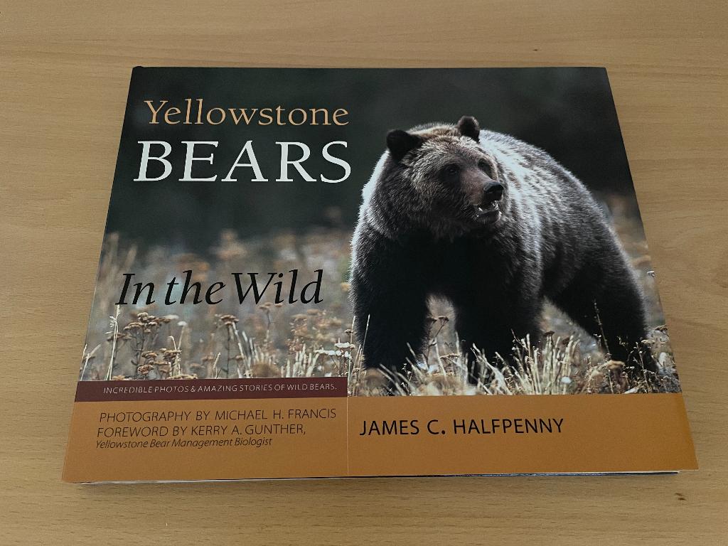 Yellowstone Bears in the Wild, Verzenden, Nieuw
