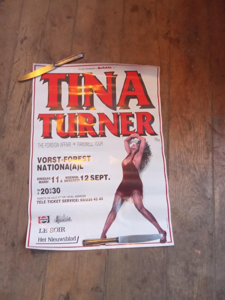 Affiche de concert ( Tina Turner ), Enlèvement, Comme neuf, Rectangulaire vertical, Musique