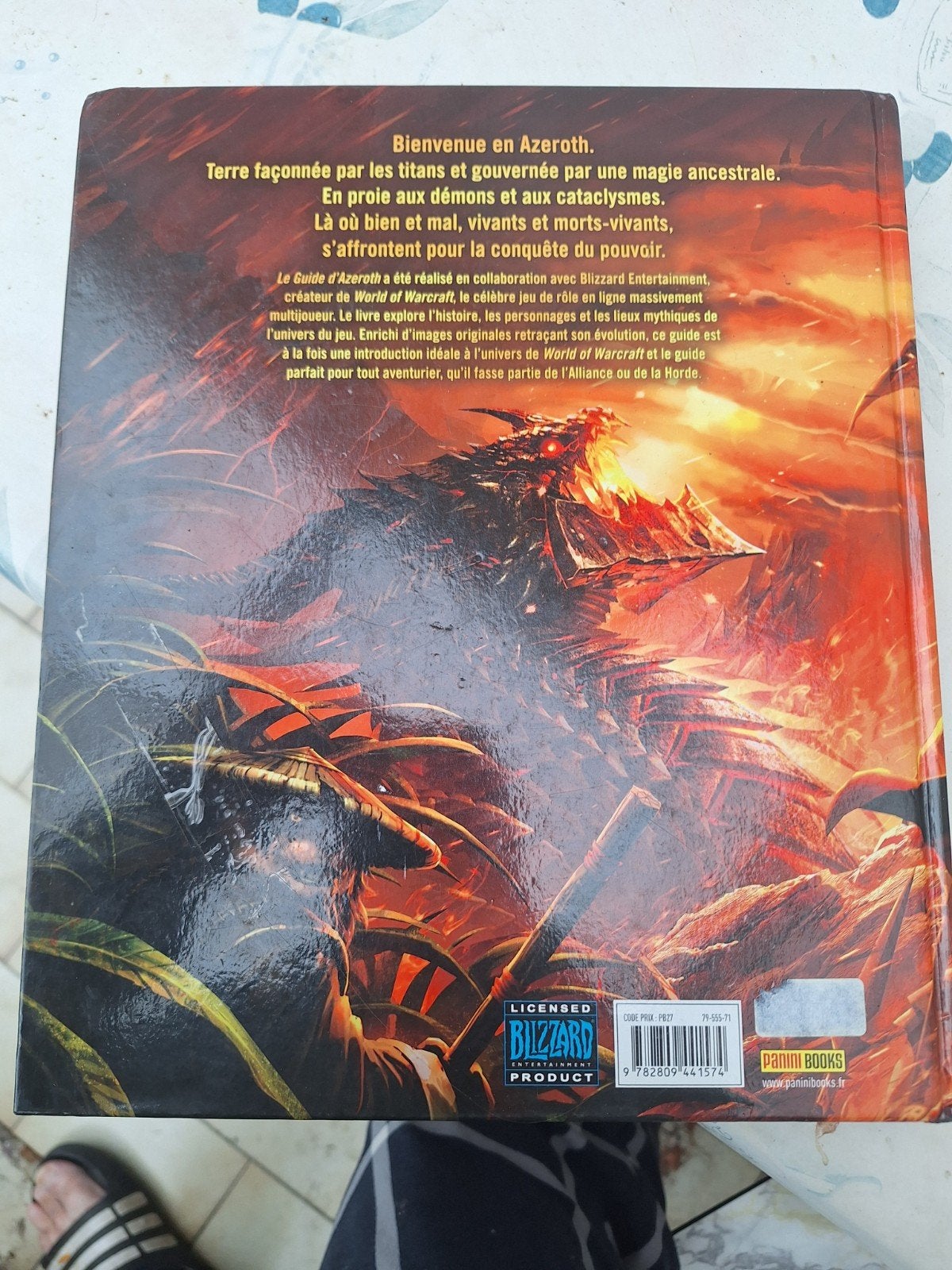 World of Warcraft - De gids voor Azeroth (Panini), Ophalen of Verzenden