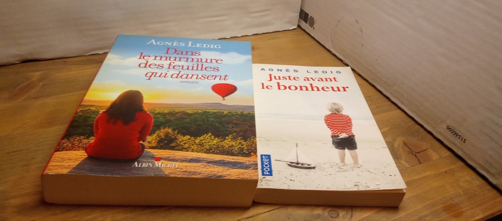 2 romans Agnès ledig, Livres, Enlèvement ou Envoi, Comme neuf, Agnès Ledig, Belgique