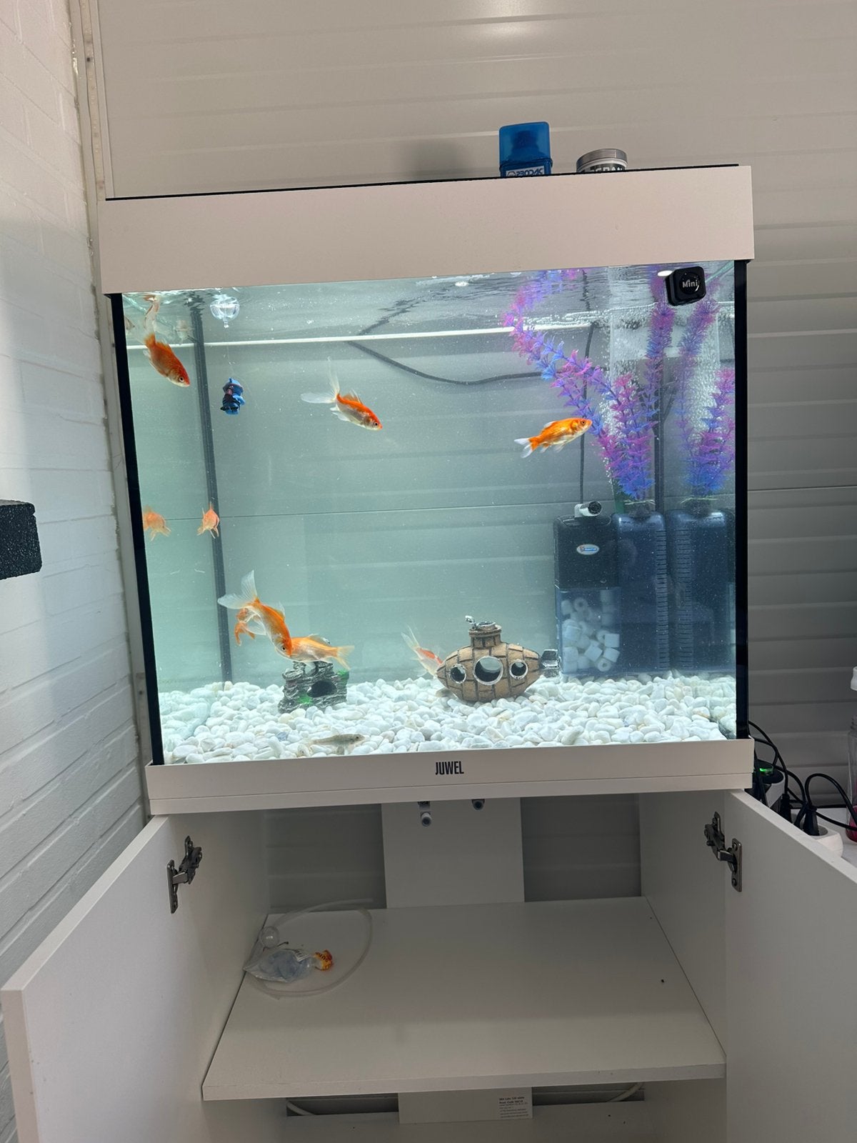 Aquarium te koop!, Ophalen, Overige typen, Zo goed als nieuw, Inclusief toebehoren