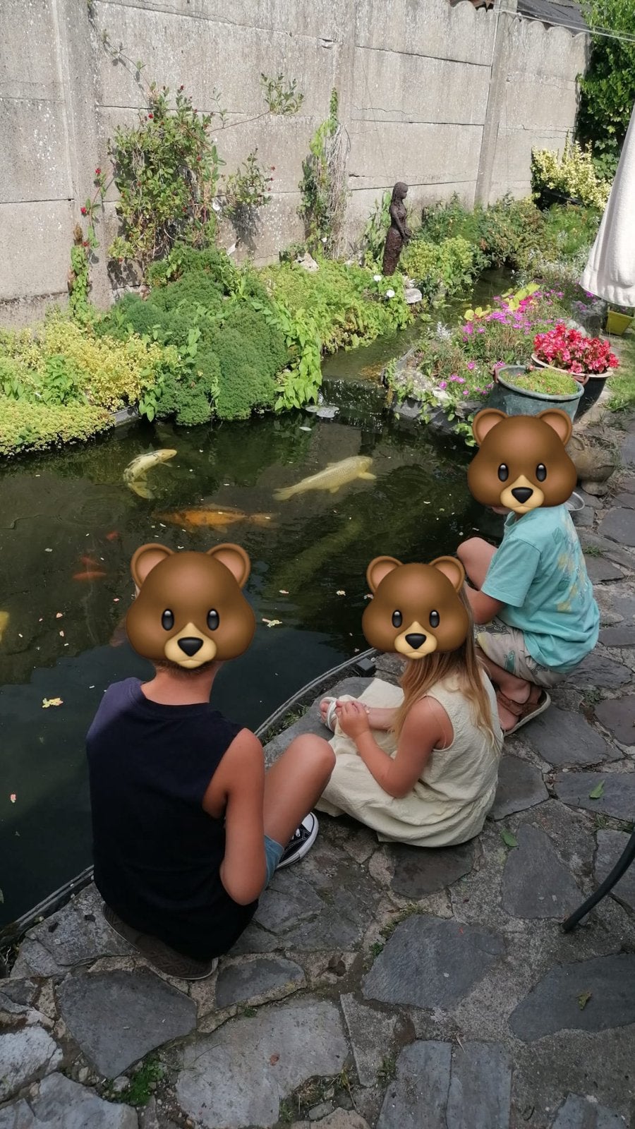 Koi 5, Dieren en Toebehoren, Vissen | Vijvervissen, Karper of Koi