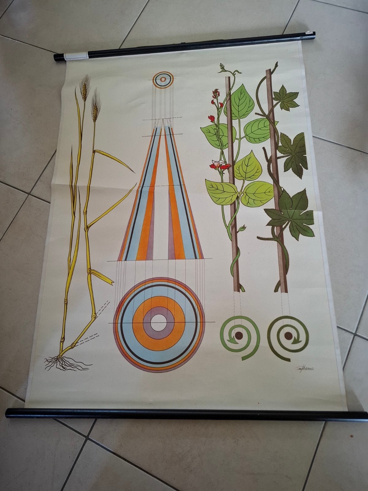 Vintage schoolkaart, Antiek en Kunst, Ophalen
