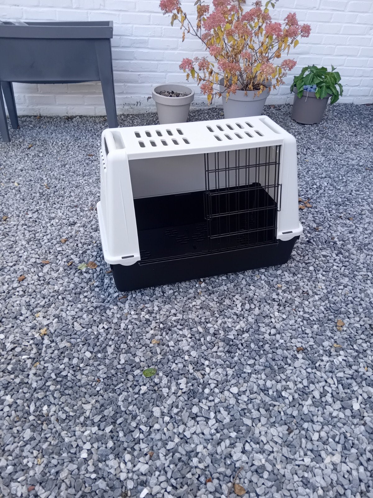 cage Atlas pour chien, Animaux & Accessoires, Enlèvement