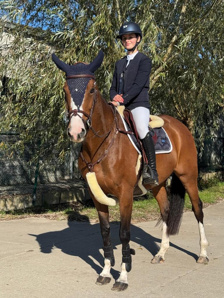 Springpaard