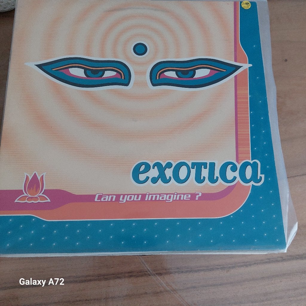 exotica can you imagine 12 inch maxi, Gebruikt, Trance, Ophalen of Verzenden, 12 inch