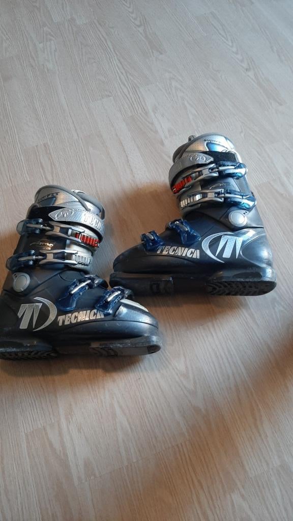 Ski schoenen Technica maat 39, Sport en Fitness, Skiën en Langlaufen, Ophalen, Ski, Schoenen