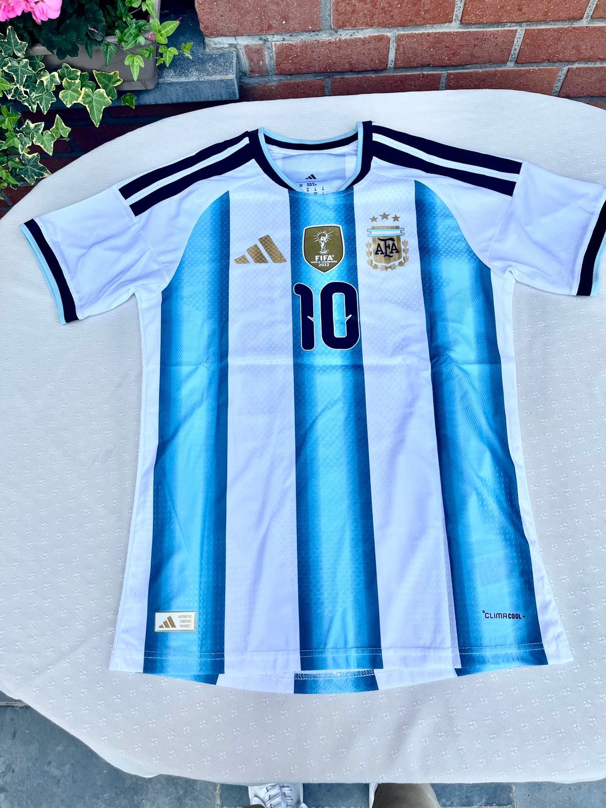 Maillot domicile de l'Argentine 2026 — Messi #10, Taille M, Enlèvement ou Envoi, Neuf, Maillot