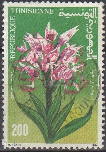 Tunesië - Apenorchidee - 1994, Postzegels en Munten, Ophalen of Verzenden, Tunesië, Gestempeld