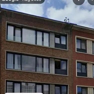maison a raport