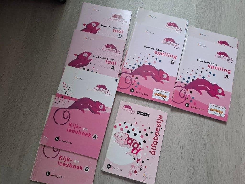 Kameleon pakket taal en spelling 5de leerjaar, Boeken, Ophalen of Verzenden, Gelezen, Nederlands