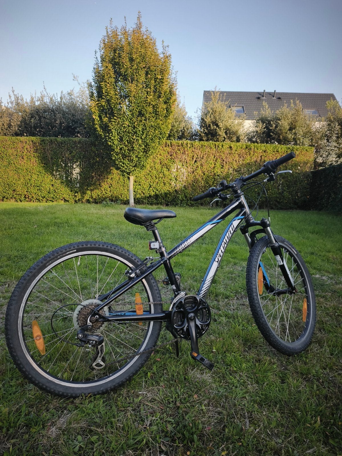 specialized 24 inch, Fietsen en Brommers, 24 inch, Velgrem, Versnellingen, Ophalen