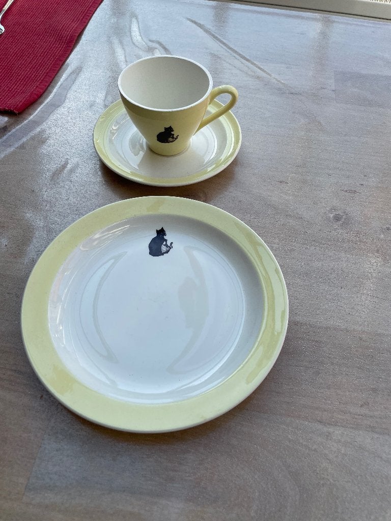 De zwarte kat tas en bord, Enlèvement