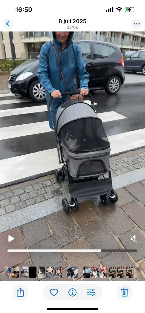 Te Koop : Hondenbuggy, Dieren en Toebehoren, Honden-accessoires, Zo goed als nieuw, Ophalen
