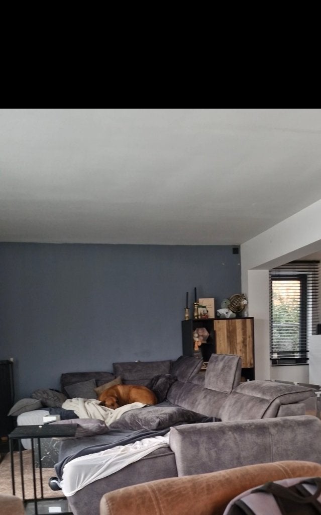 Gratis af te halen – Grote kwaliteitszetel ( 2,5 jaar oud), Ophalen, Gebruikt, Hoekbank, 300 cm of meer
