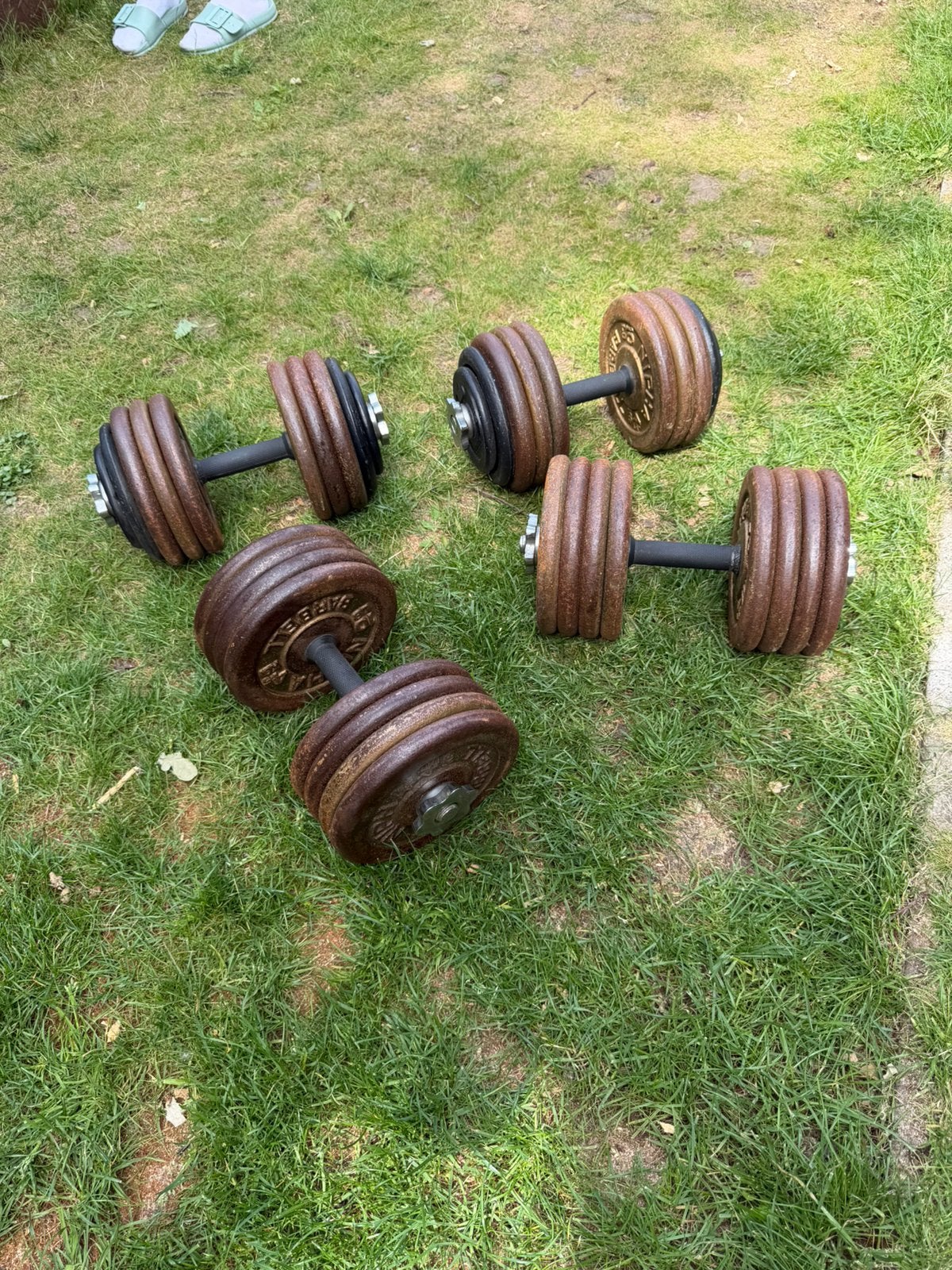 Verstelbare dumbells 35kg en 38kg, Sport en Fitness, Fitnessmaterialen, Ophalen, Gebruikt