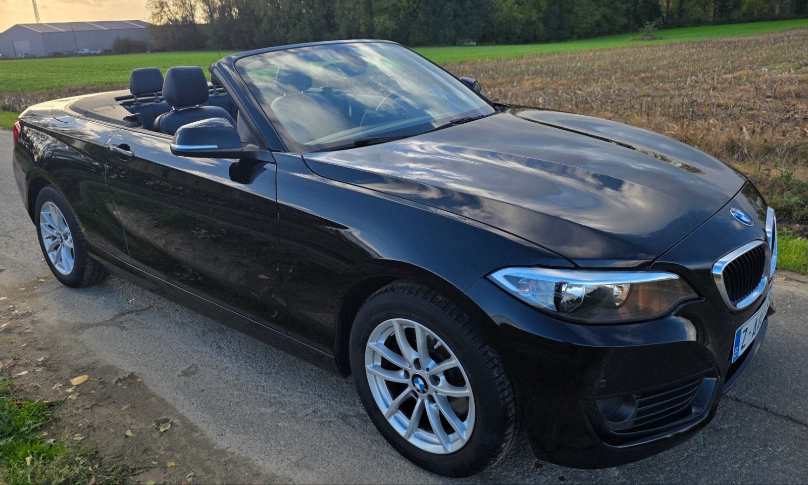 Bmw 220i Cabriolet Euro 6b essence, Autos, Cuir, Euro 6, Entreprise, Cabriolet