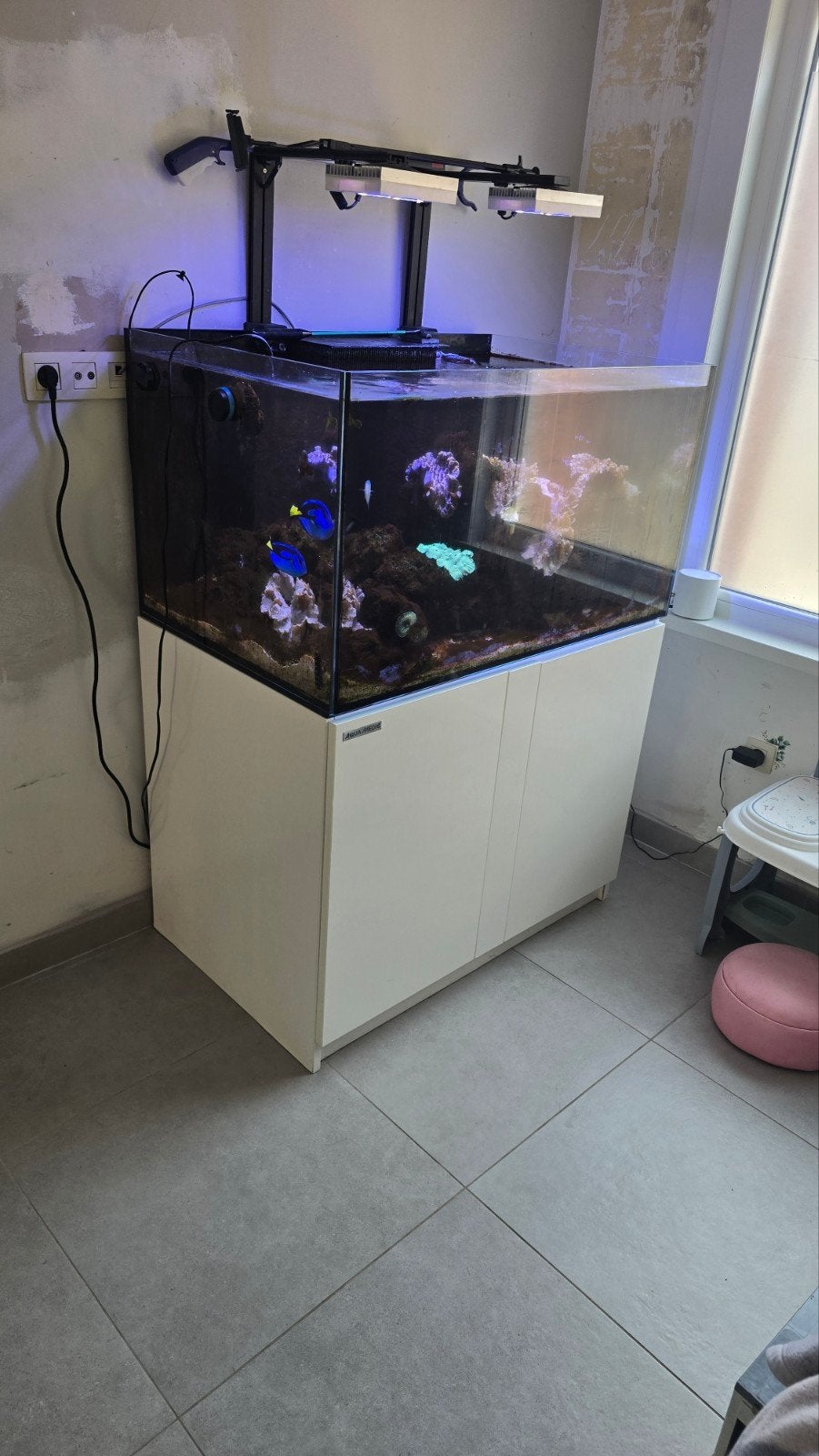 zeeaqaurium compleet, Ophalen, Inclusief vissen, Zo goed als nieuw, Gevuld zeewateraquarium