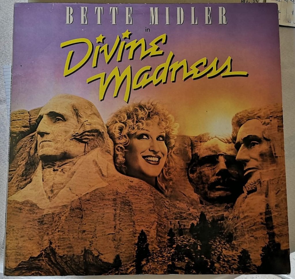 LP Divins madness, Ophalen, 12 inch, LP