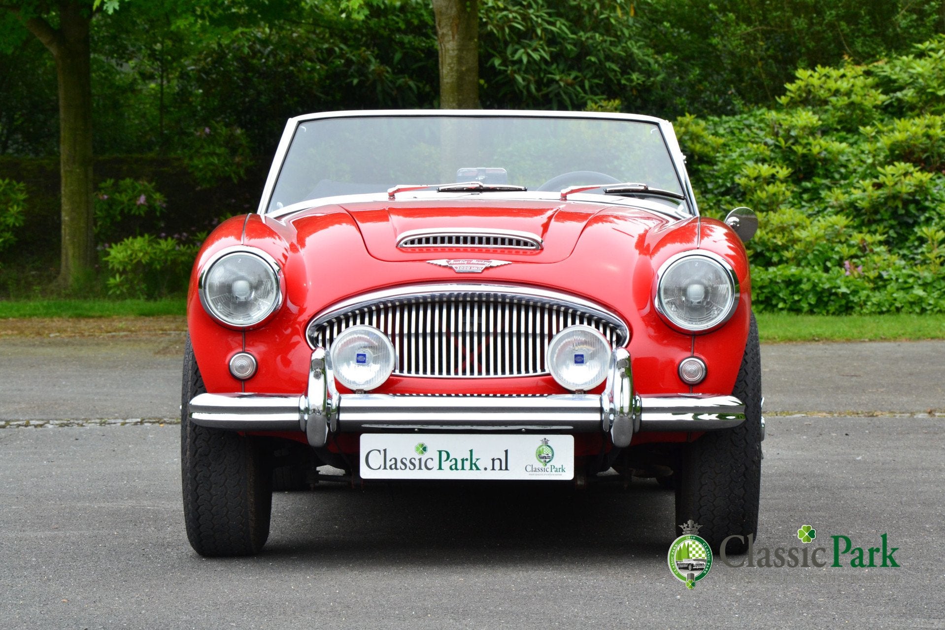 Austin Healey 3000 MK II A (bj 1962), foto 8