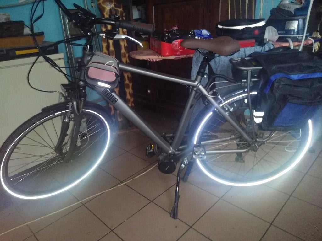 elektrische fiets, Fietsen en Brommers, 55 tot 59 cm, Ophalen, Zo goed als nieuw, Overige merken