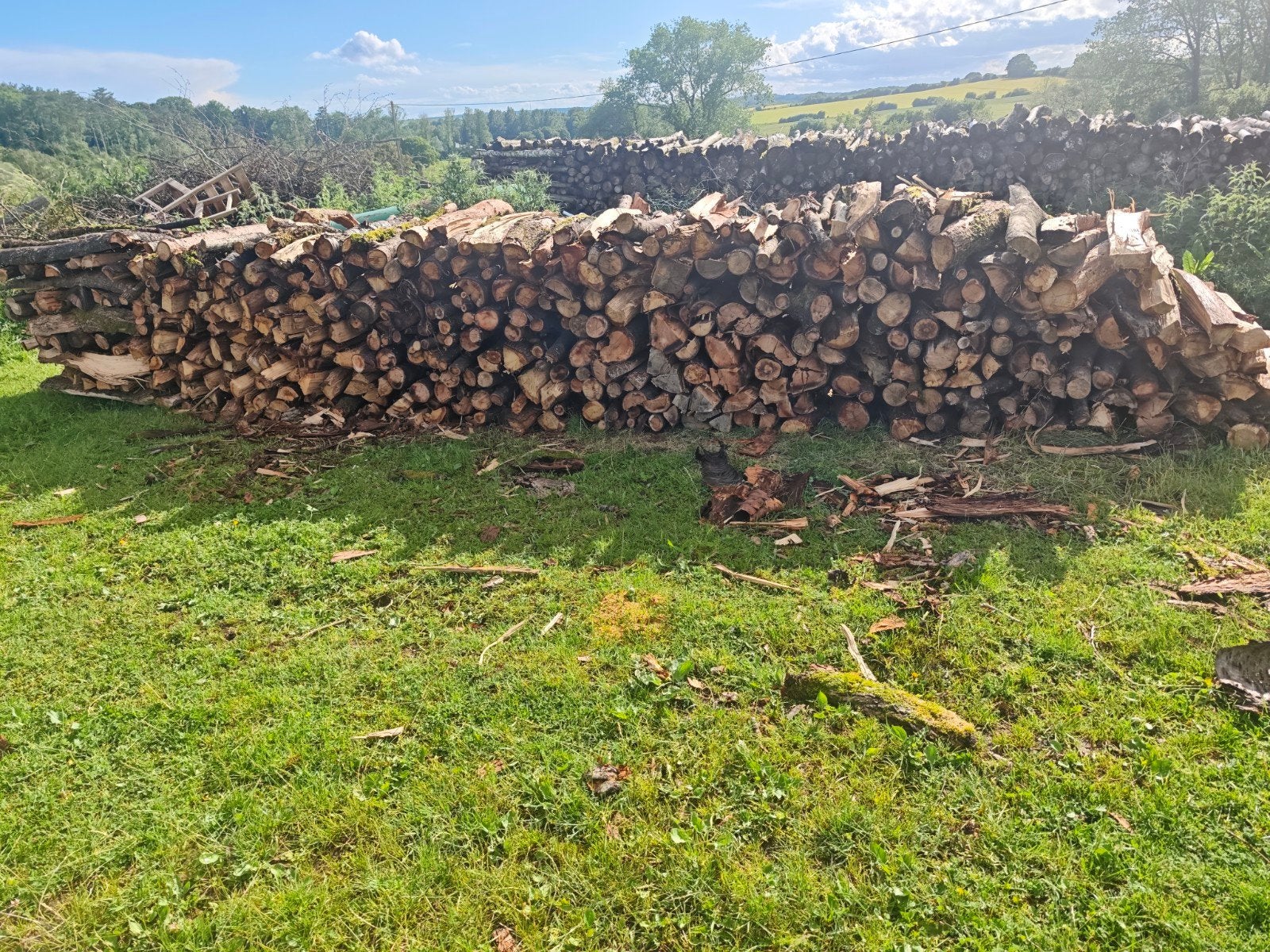 Bois de chauffage, Enlèvement, Chêne