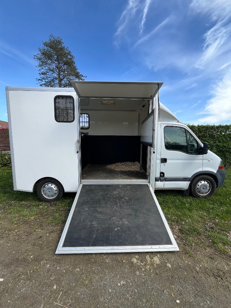 Renault paardencamionette - B-rijbewijs - opbouw nieuwstaat, Enlèvement, Utilisé, Remorque 2 chevaux
