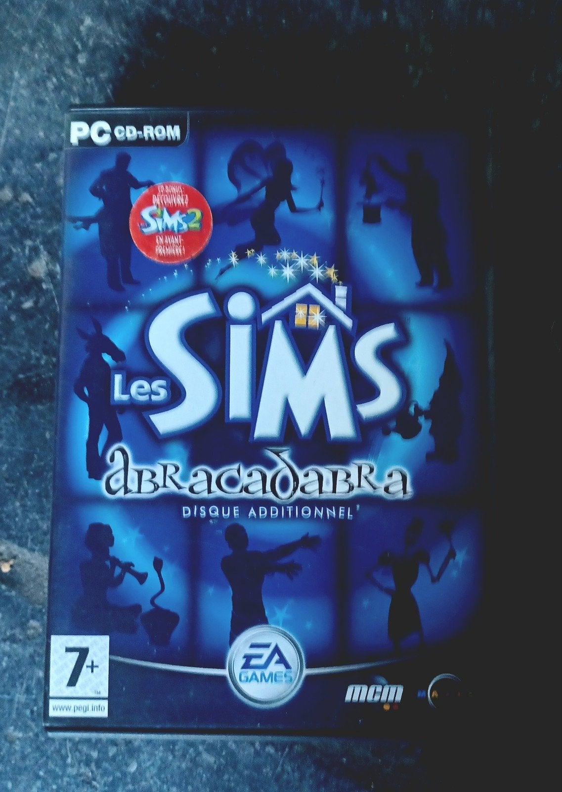 Jeux PC CD sims, Enlèvement