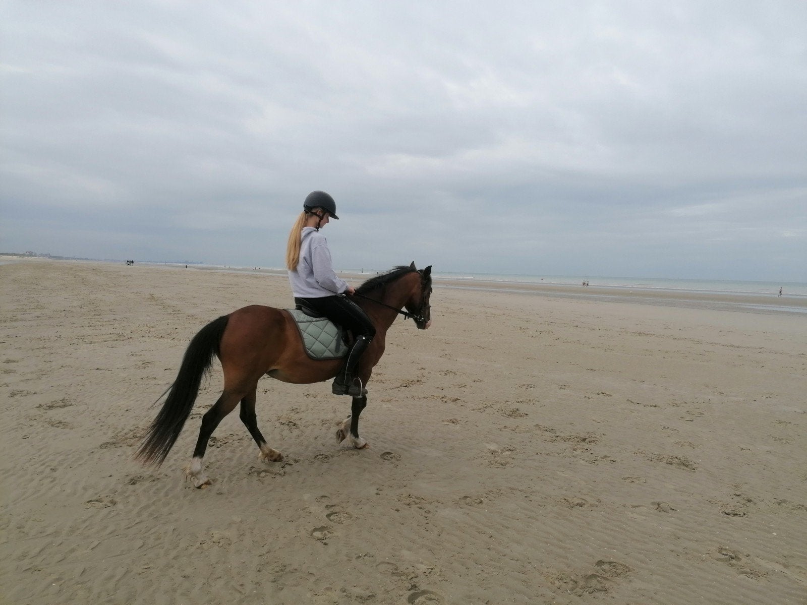 Pony te koop, Dieren en Toebehoren, Merrie, Zadelmak, 11 jaar of ouder