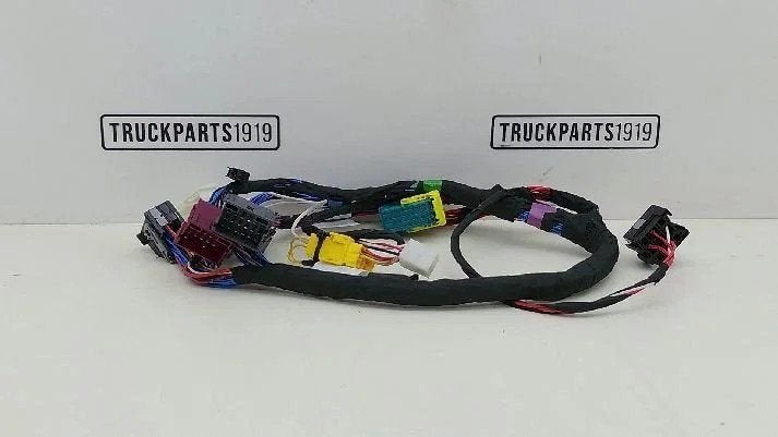 DAF Electrical System Cabinekabelboom, Auto-onderdelen, Vrachtwagen-onderdelen, Ophalen, Gebruikt, DAF, Elektronica en Kabels