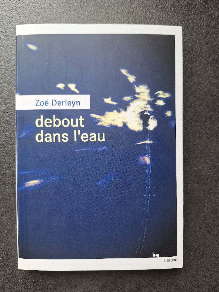 Zoé Derleyn - Debout dans l'eau, Zoé Derleyn, Enlèvement, Belgique, Comme neuf
