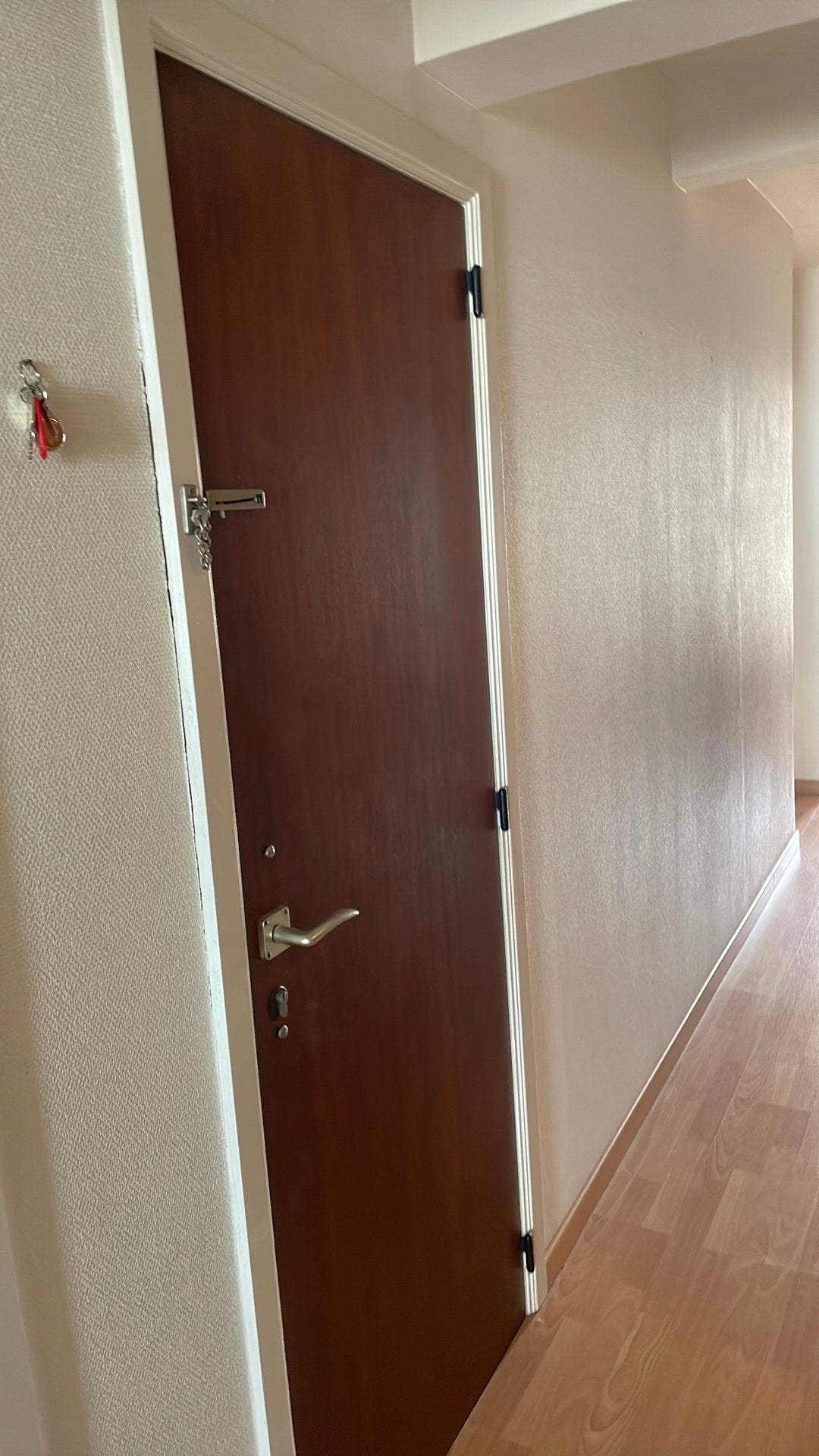Binnendeuren, Doe-het-zelf en Bouw, Deuren en Vliegenramen, Ophalen, Zo goed als nieuw