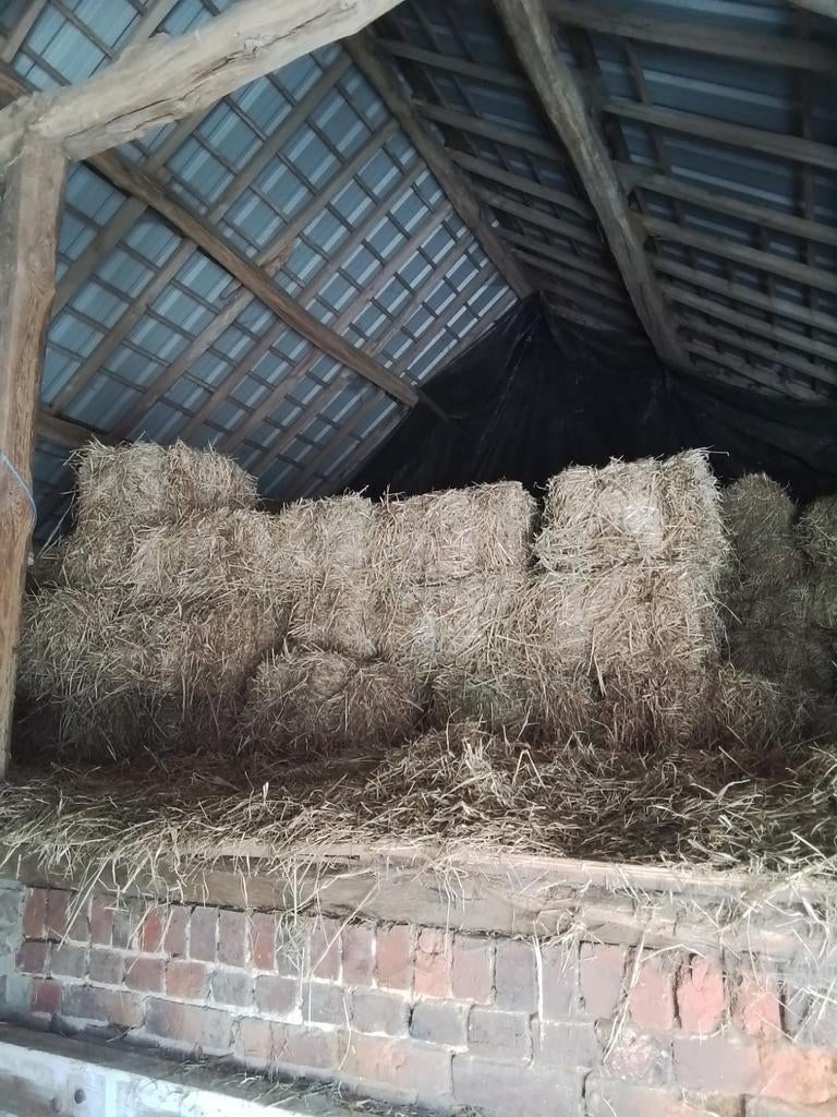 Hooi in kleine balen, Dieren en Toebehoren, Ophalen